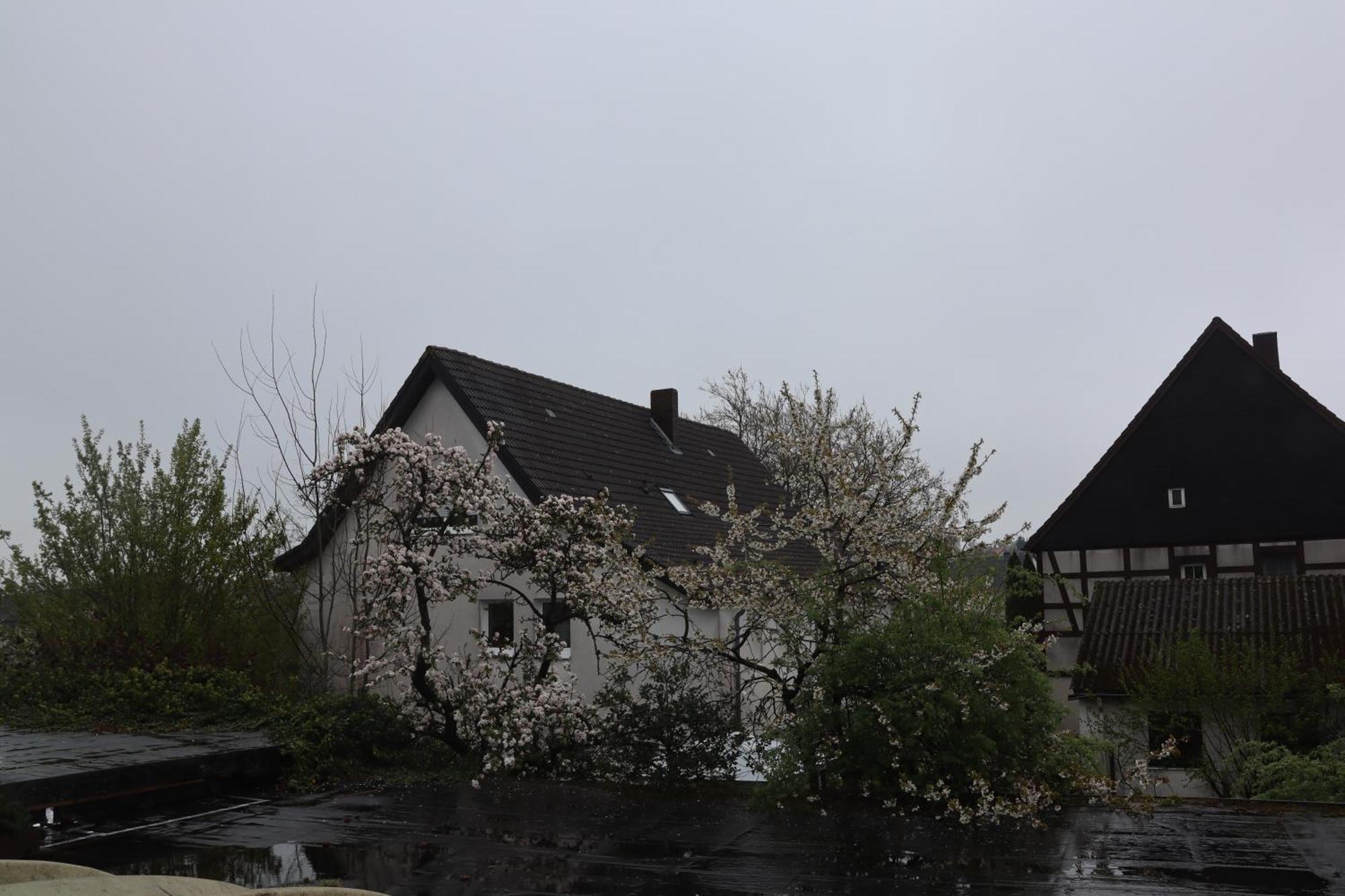 Hotel Haarener Hof Bad Wünnenberg Buitenkant foto